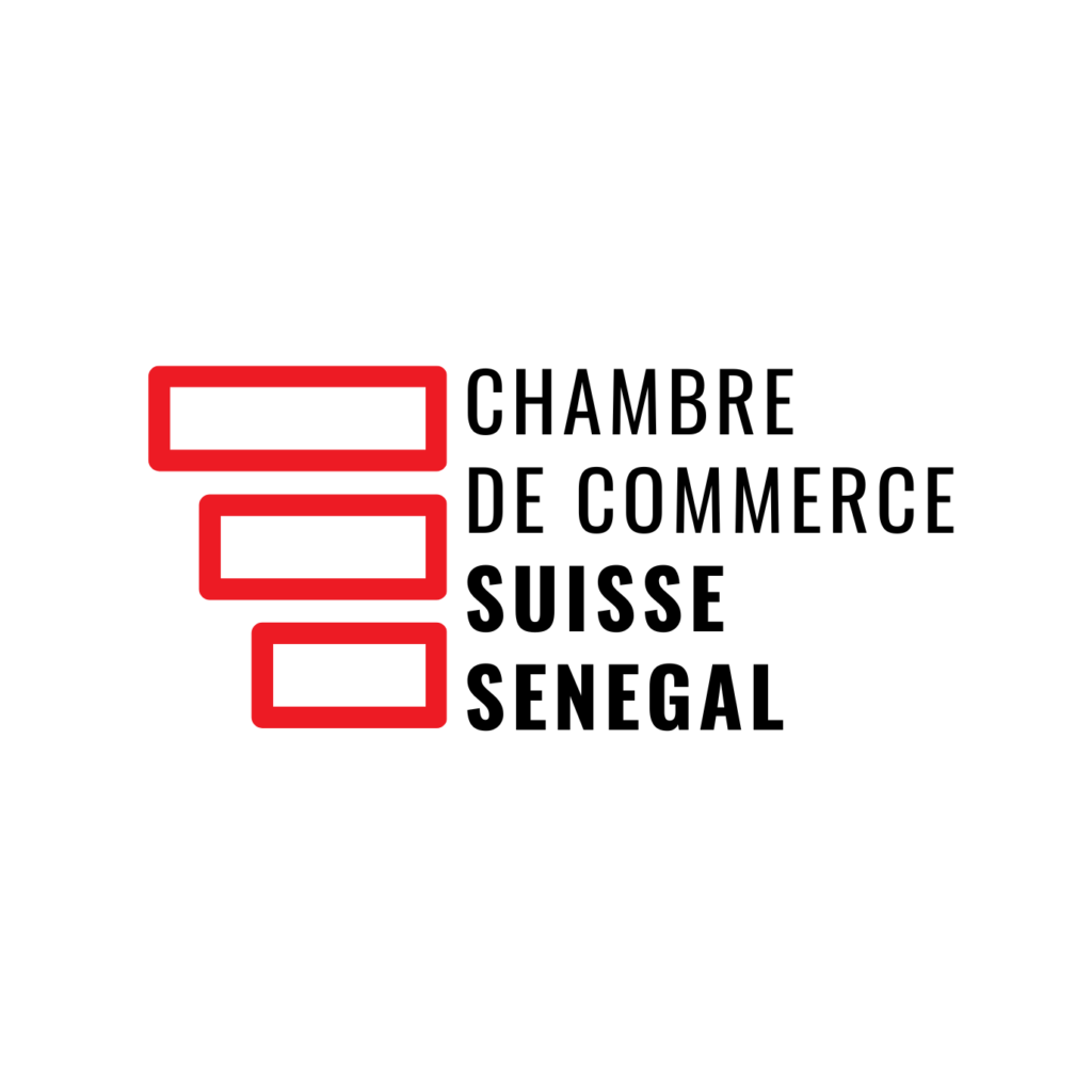 CCISSN Logo Detoure 1024x1024
