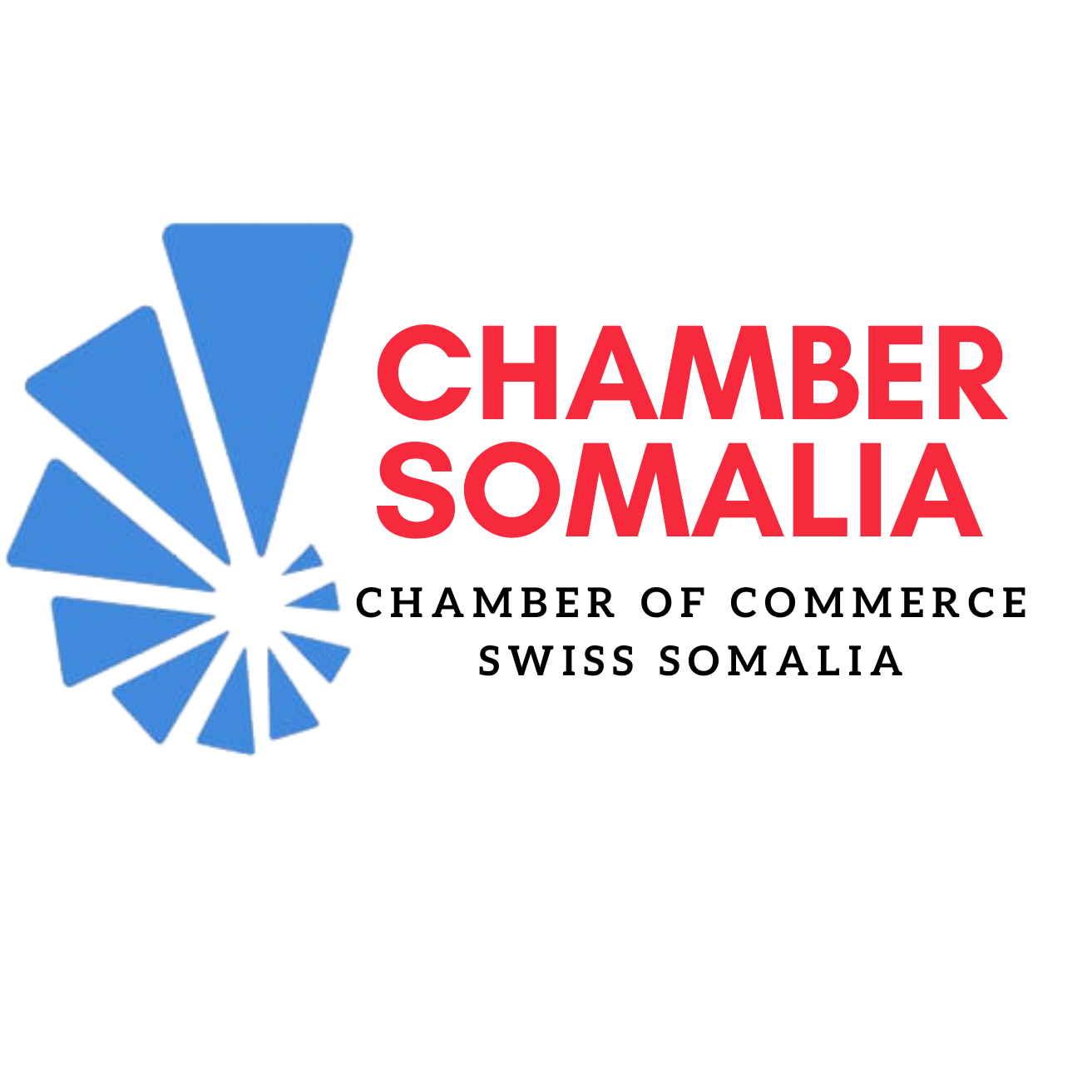 Home CCISSOMALIAA LOGO Detoure